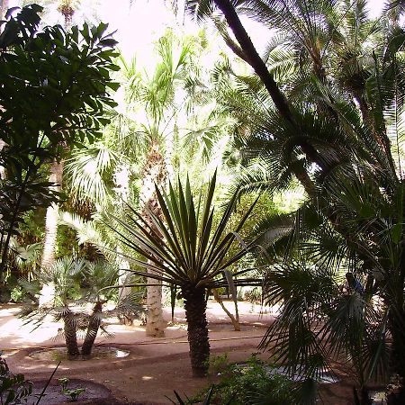 Appart Avec Vue Jardin/Majorelle 마라케시 외부 사진