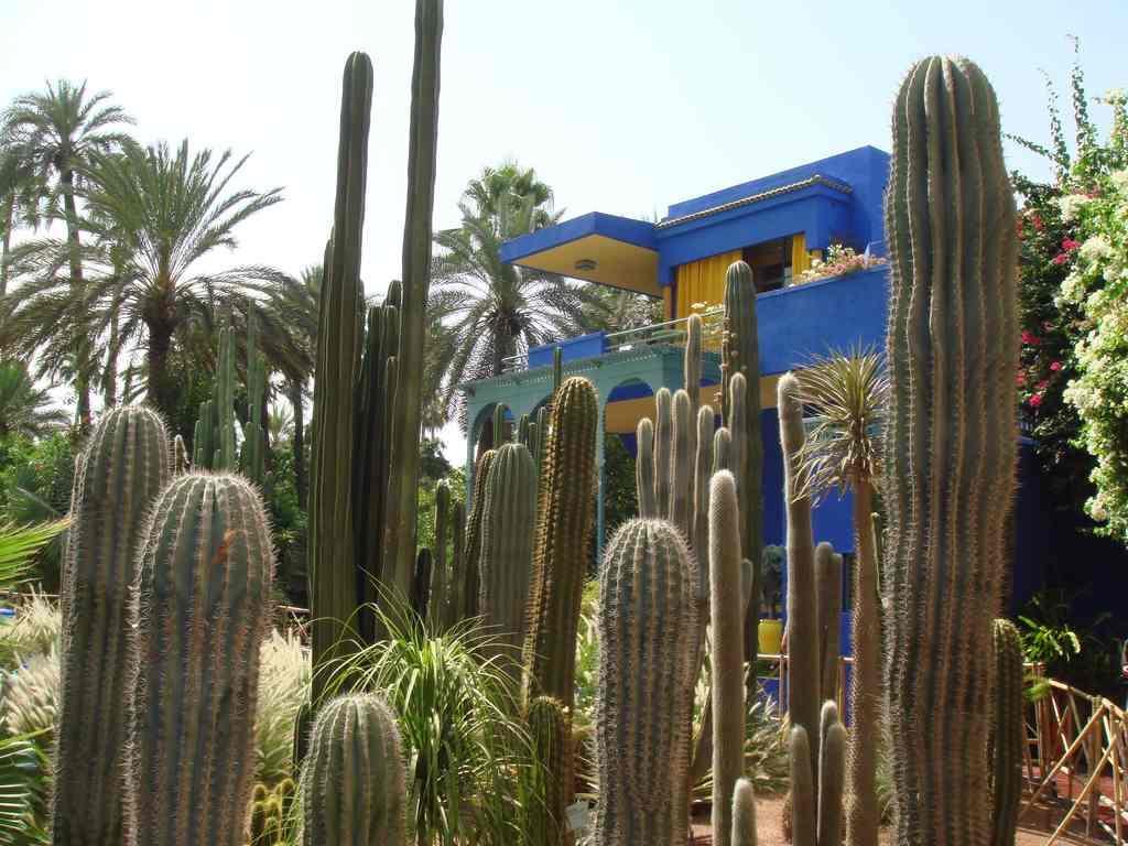 Appart Avec Vue Jardin/Majorelle 마라케시 외부 사진