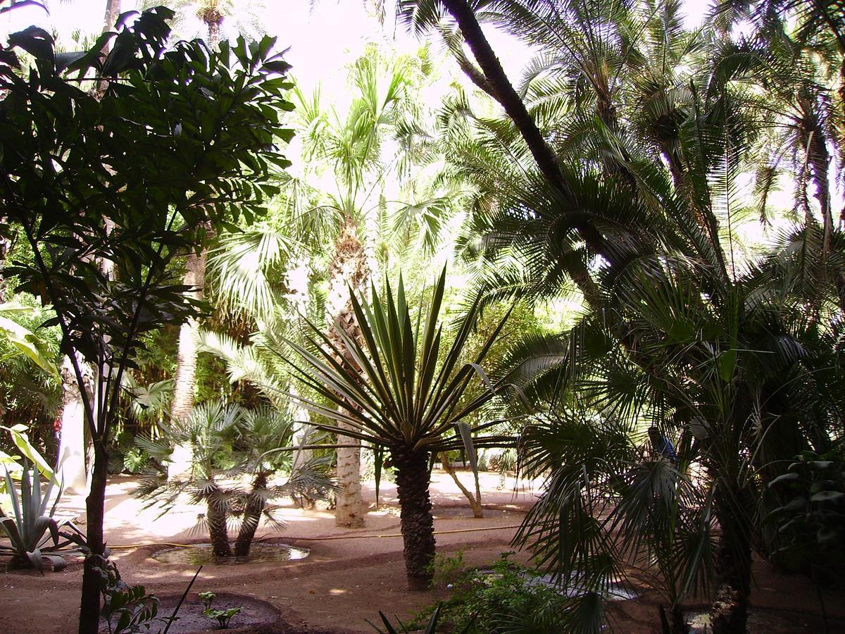Appart Avec Vue Jardin/Majorelle 마라케시 외부 사진